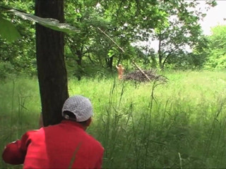 XTime Vod: Hardcore pussy fucking in the forest