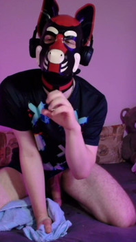 Playful Pup Jerks and Cums in Every Pose