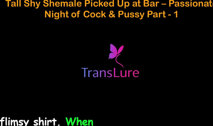 TransLure: English Audio Sex Story - Tall Shy Shemale Picked up at...