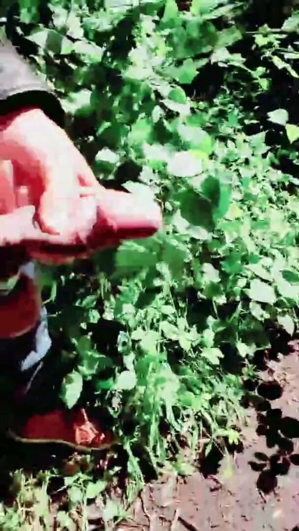 Slutboyben: Slutboyben Cam4