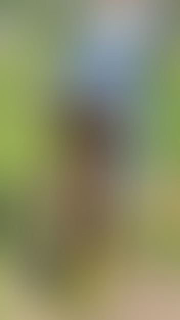 Locked due to age restriction