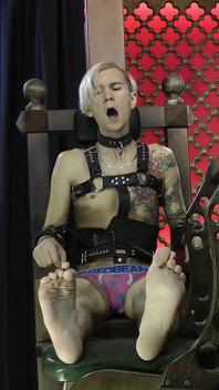 Nicky feet bastinado cù
