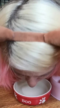 Linda Chica Mascota Bebe De Su Cuenco