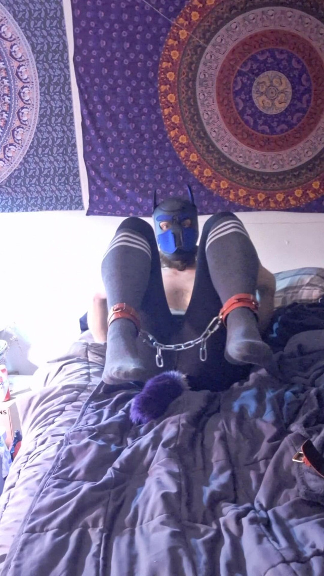 Pet Choker Socks Chains Barking Fetish (Robert Swellens studio)