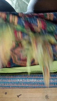 Il sesso fantastico del villaggio Bhabhi