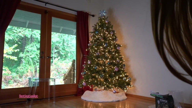 Destination Kat: Xmas 트리 장식