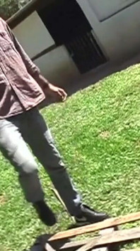 Gorillas in Outdoor Fetish Fuck