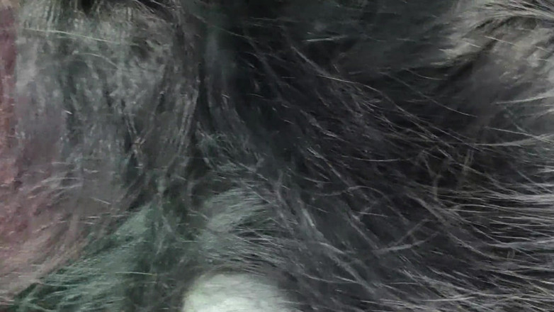 Vaigavarun45: Hemd offen und heißer arschkuss, romantik von mallu paar