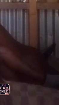 Hit that pussy real good - ona chtěla víc a více