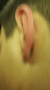 Cute Straight Boy Takes a Cock
