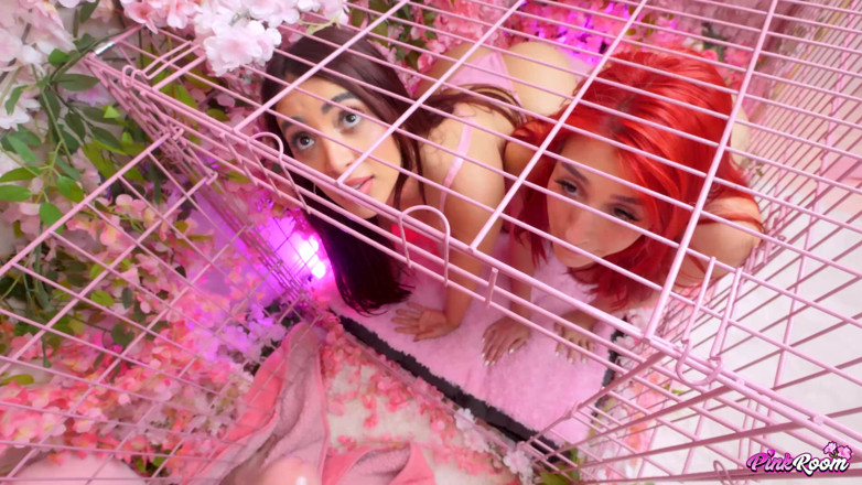 Nasty Sluts Studios: Tentando di cancellare