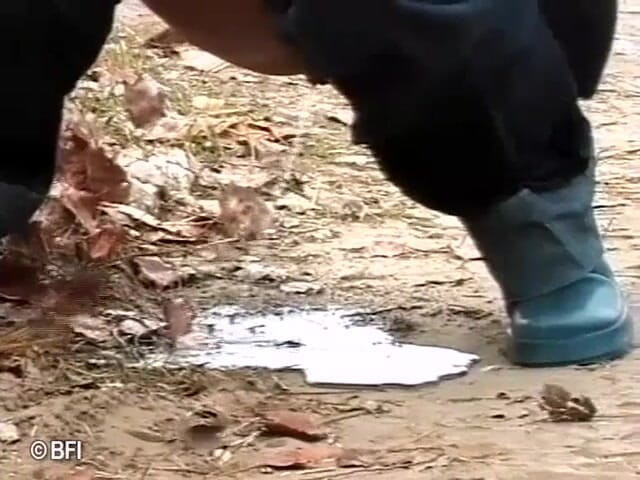 Pissing adventures: Follada anal en trío vintage - dvd