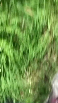 Fucking my younger stepbro in the woods