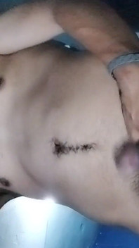 Шоу Ass Hole