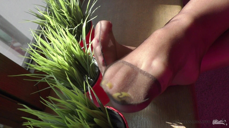 Mistress Legs: Dominatrix en las piernas de nylon en la ventana