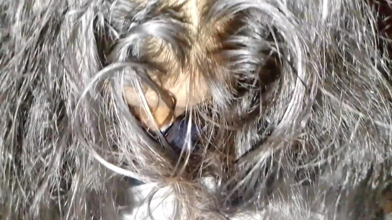 Uttar dinajpur: Indická bangla dívka nevlastního bratra tvrdě šuká