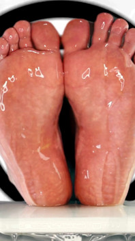 Obsession to Master Feet - Pig Trainer