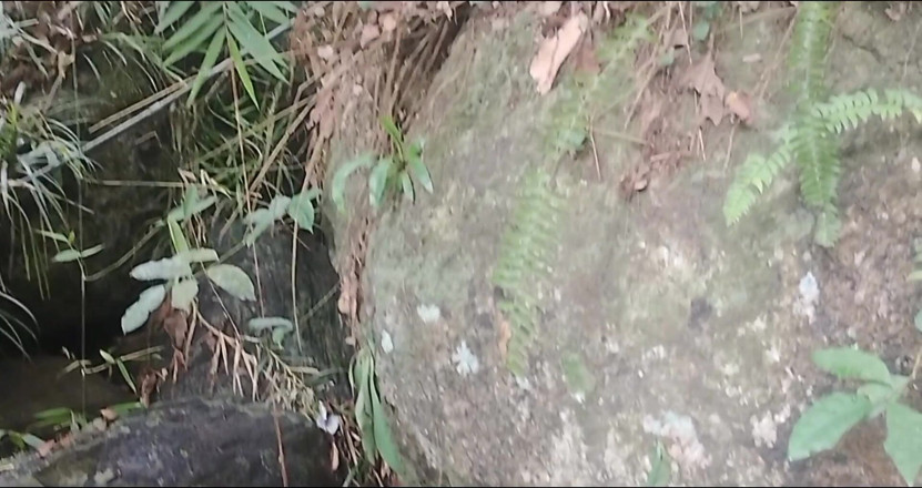 Nuragee: Pergi ke puncak gunung untuk berenang