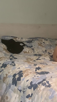 팬티 스타킹을 입은 밀프가 자지를 완벽하게 따먹는 방법을 알려줍니다.