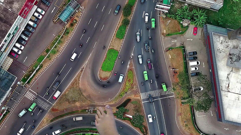 Sasha Curves: Overgrown