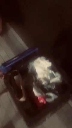在街上吃烟头和垃圾桶里的垃圾