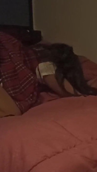 She Looks All Innocent at College but in Bed She Wants All (complete Video)