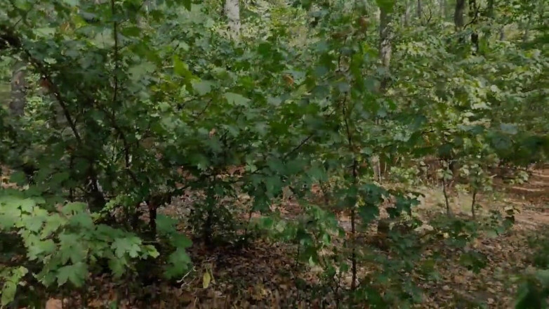 DirtyLubov: Anal în aer liber cu o persoană cu păr negru