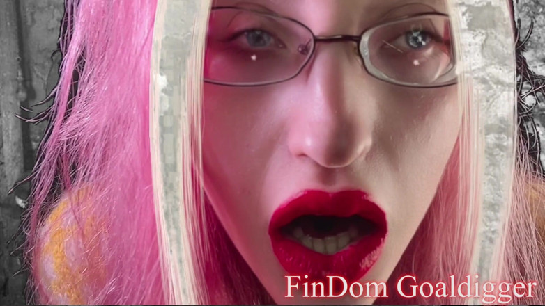 FinDom Goaldigger: Gold toilet transformation