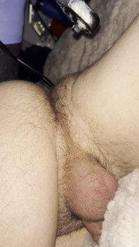 Ass Fun