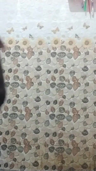 Pertunjukan mega raksasa pria kulit hitam tamil10inches 1