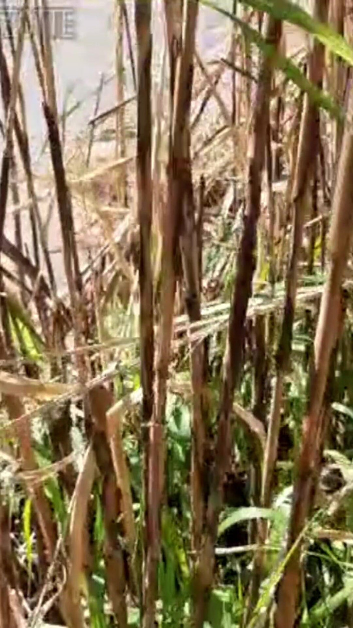 Prezottes_House: Zde najdete způsob, jak si udržet svou sexuální aundičku