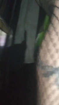 Sissyboy Solo