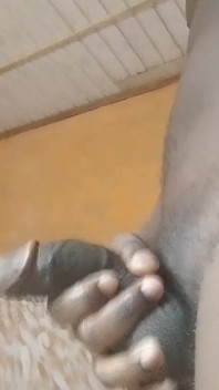 Sugar Boy acaba de unirse a esa sentada quiere que alguien dispare