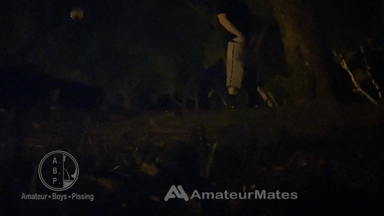 AmateurBoysPissing: Amateur Straight Boy Caught Pissing in a Park, at Night