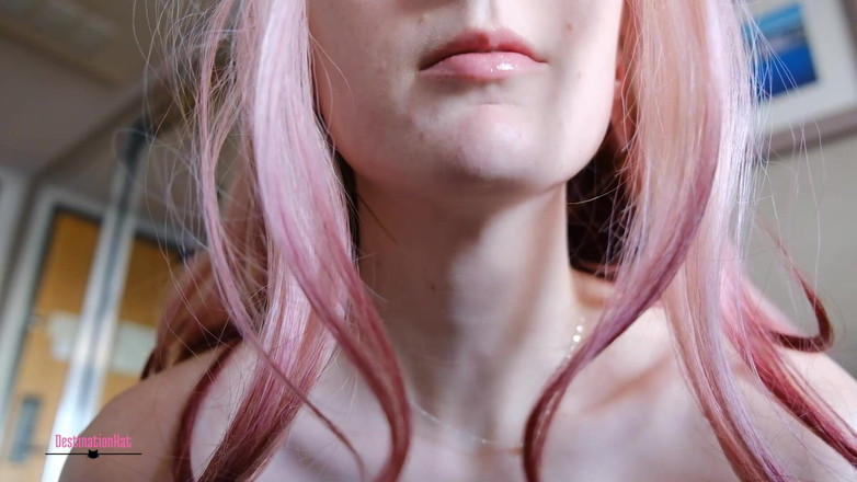 Destination Kat: Udělej, co říkám