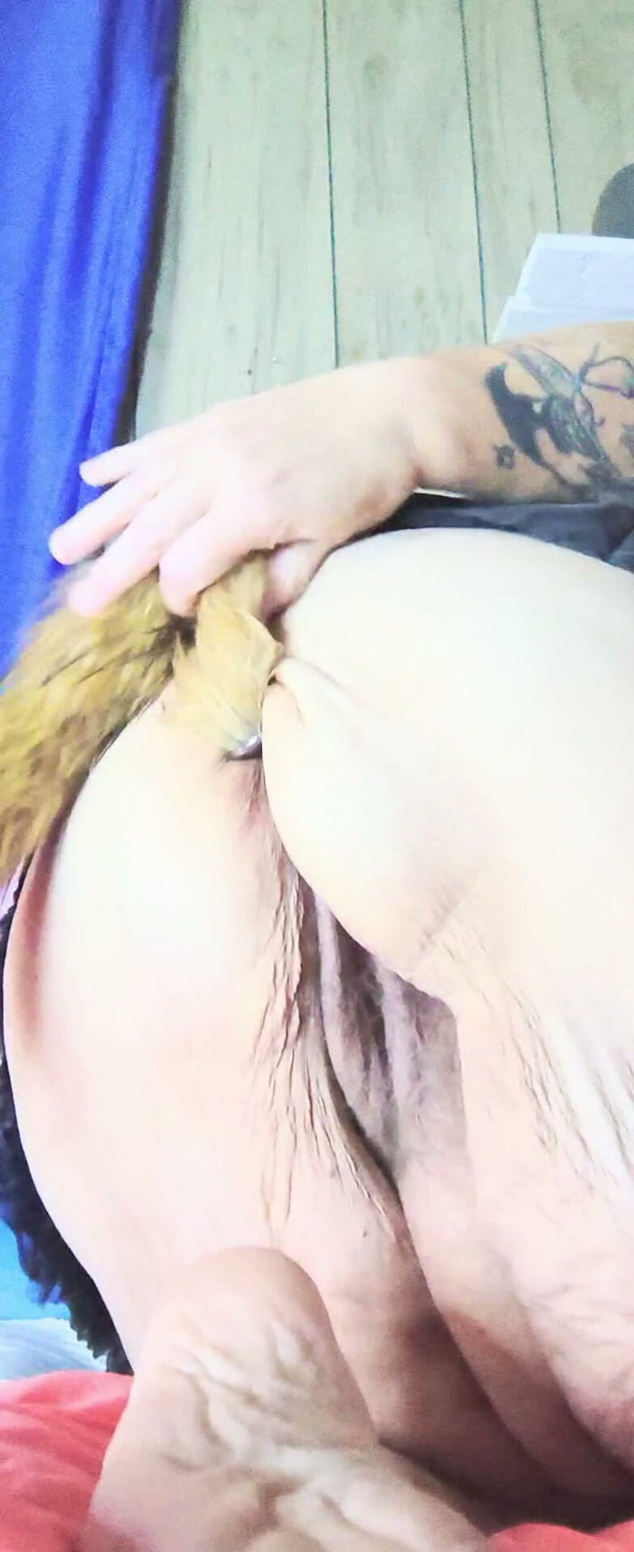 HerculesnVENUS: Com o rabo dela curvado, ele a mais de n