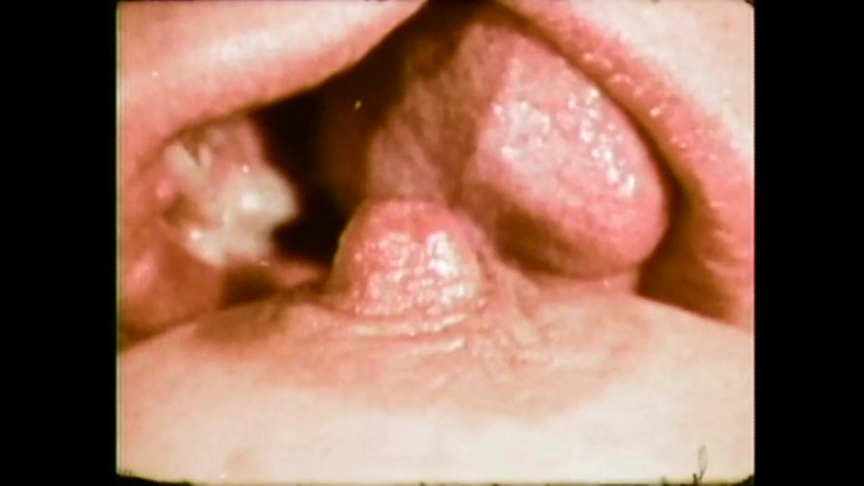 Vintage Megastore Full hd: 猪舌头