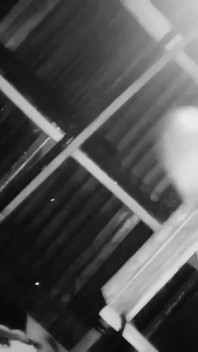 Sie werden nicht glauben, dass sie doggystyle liebt