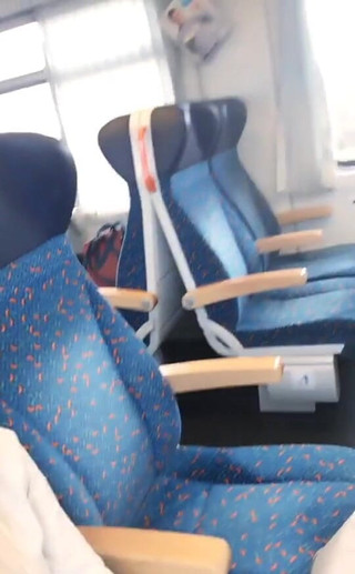 Nesty: Na mé cestě do Prahy