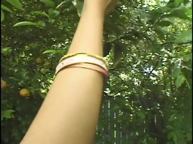 Girl on Girl: Des bellydancers sauvages avec de superbes seins font des ciseaux...