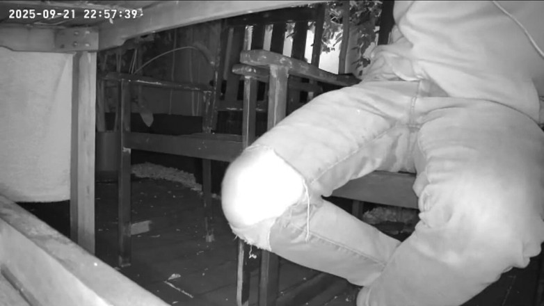 AmateurBoysPissing: Ragazzo amatoriale sorpreso in una visione notturna della telecamera si...