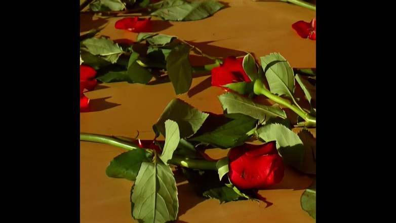 The Hunter Collection: 在深度快感中迷失