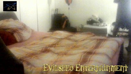Evilseed Entertainment: Nach Mitternacht bowling und mehr