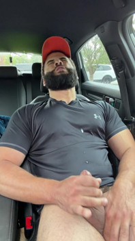 Ourson musclé dans la voiture