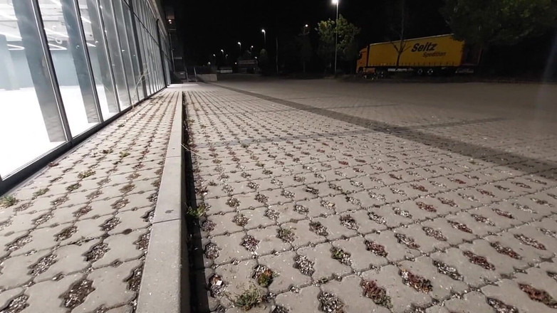 sweetfeet29: Vid Pendek