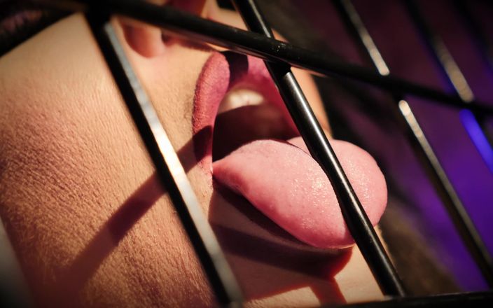 Sensual productions: Brad Newman Jessica Jaymes N Sex Dungeon