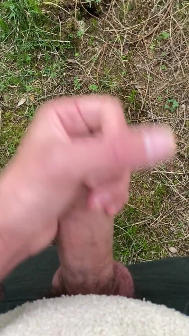 Zaharia: Cum in forest