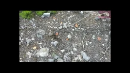 Pisse 2