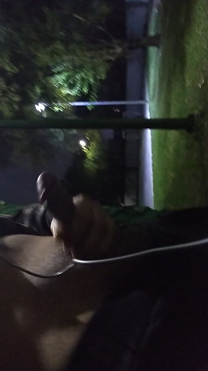 AlexAlejandro13: Parco pubblico eccitante