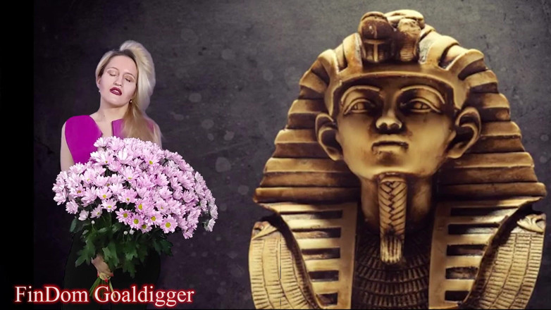 FinDom Goaldigger: Kebenaran vip loserpaypig